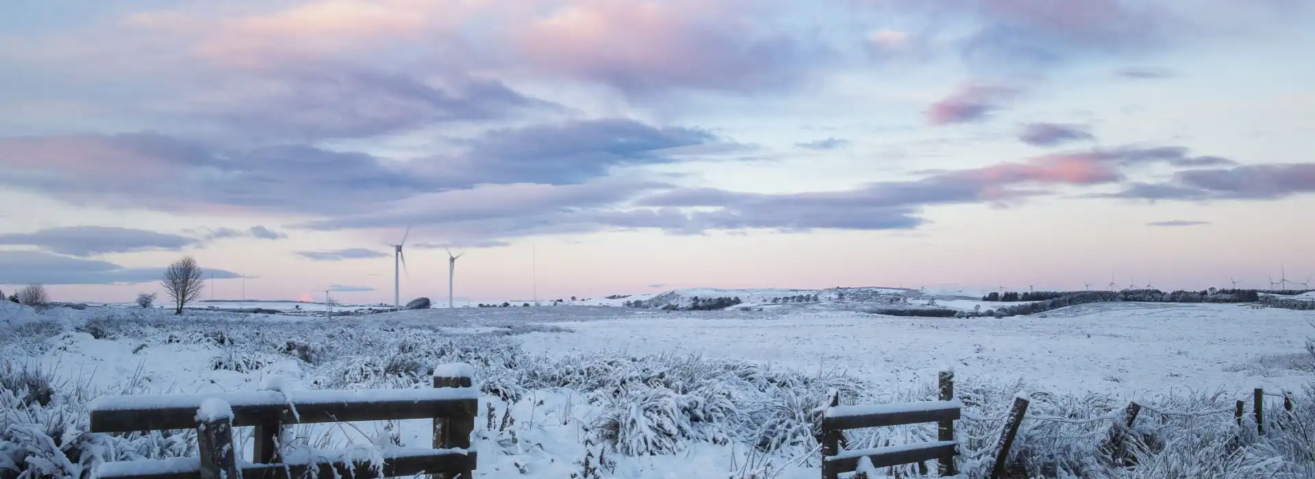 Wintry landscape covered in snow.
