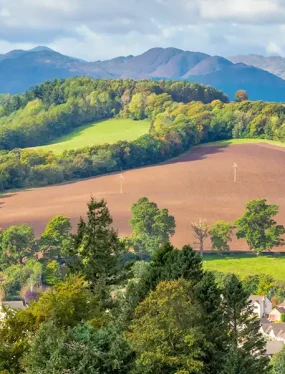 Heating Oil & Boiler Service in Crieff